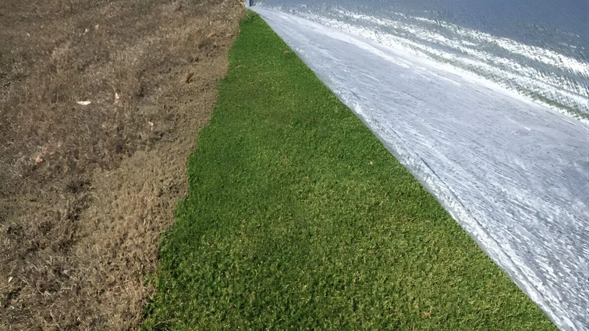 growing grass in winter by Evergreen Radiant turf cover