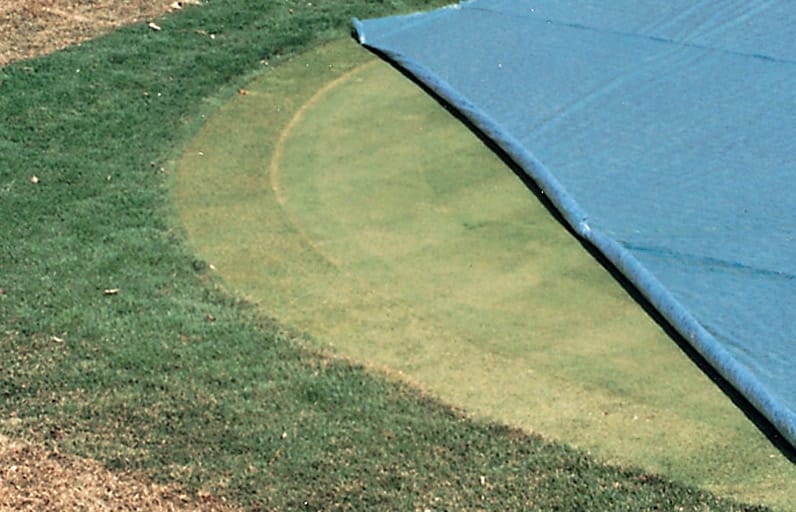Premium turf cover