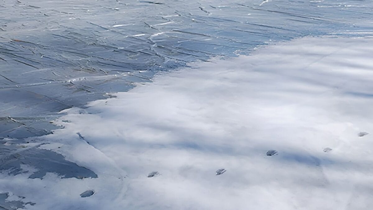 winterizing golf courses through turf covers
