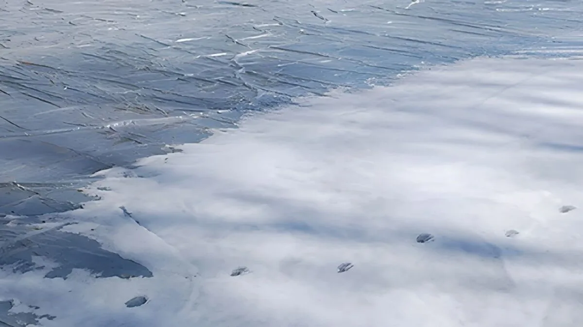 winterizing golf courses through turf covers